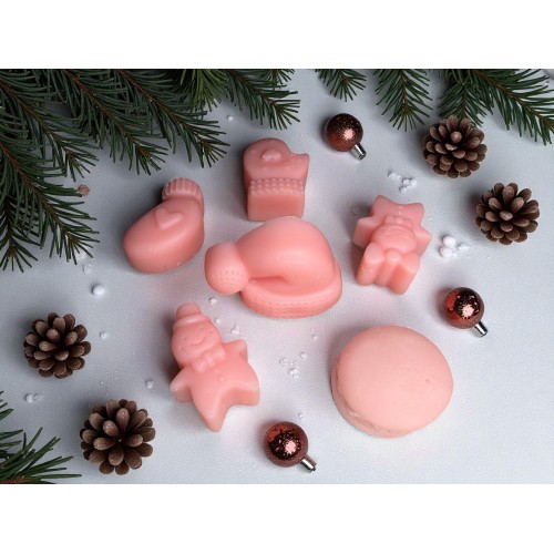 BAIES GIVRÉES - 6 FONDANTS