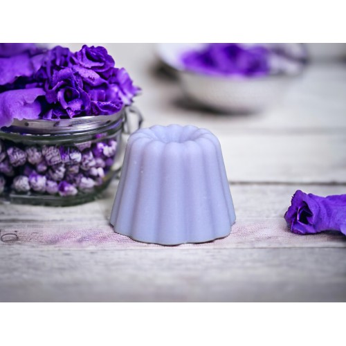 PACK DE 6 FONDANTS POUR BRÛLEUR VIOLETTE DÉLICATE